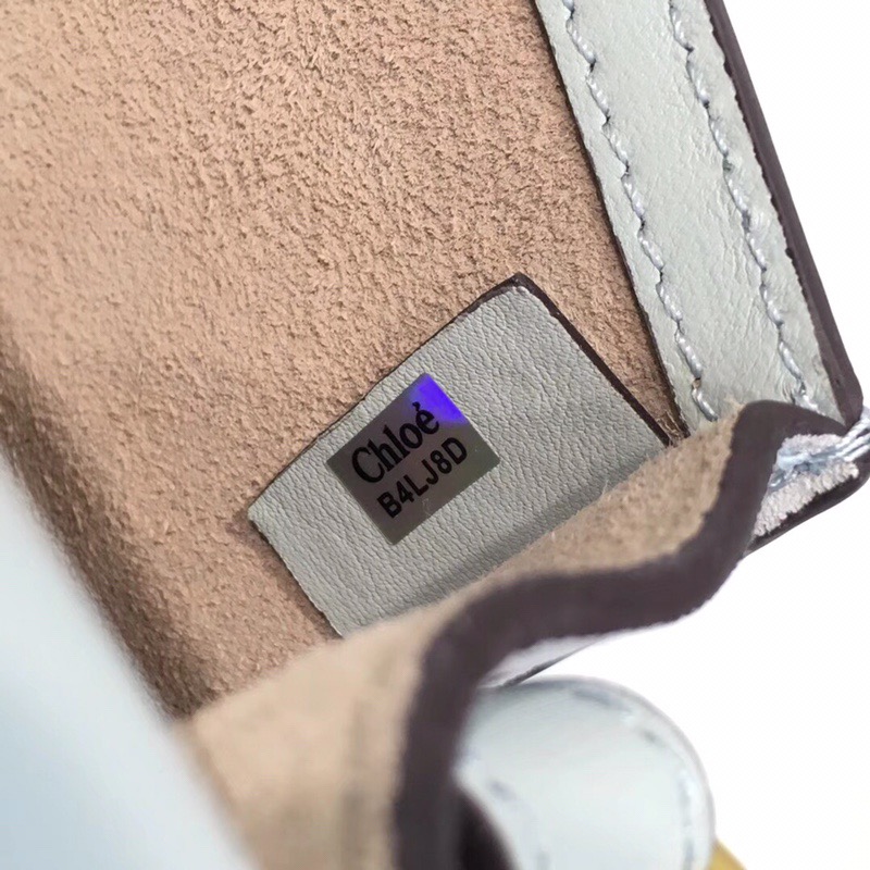 끌로에 나일 토드&숄더백 24CM C80920