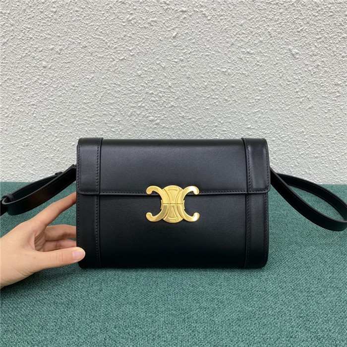 Celine 셀린느 트리옴페 WOC C195263 2020/신상