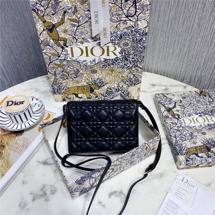 Dior 디올 레이디 핸드&크로스백 D08550
