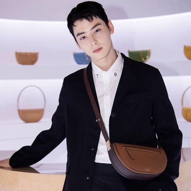 [아스트로 차은우] Burberry 버버리 숄더백 B31509-2 신상