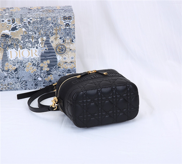 Dior 디올 트래블 파우치백 D31020 신상