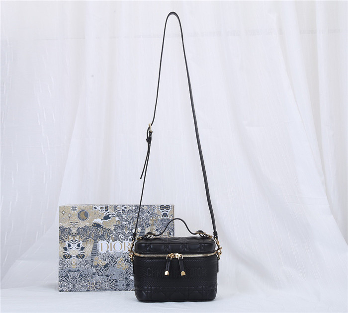 Dior 디올 트래블 파우치백 D31020 신상