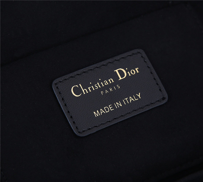 Dior 디올 트래블 파우치백 D31020 신상