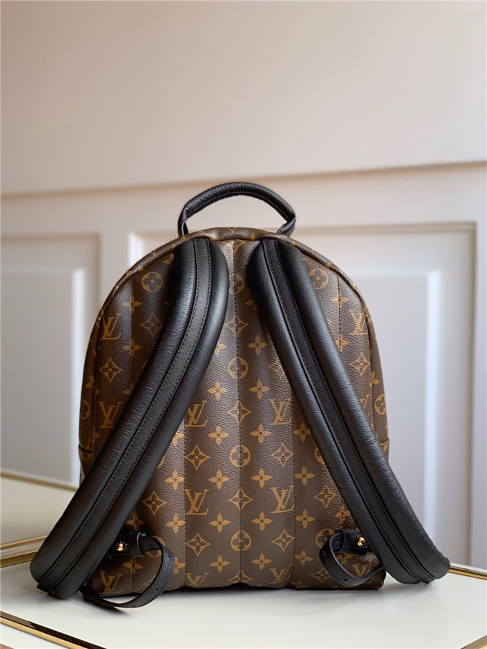 Louis Vuitton 루이비통 팜 스프링스 백팩 M44874 신상