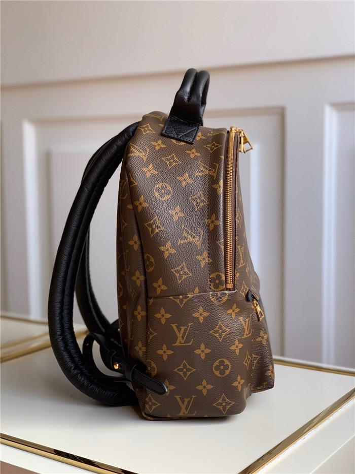 Louis Vuitton 루이비통 팜 스프링스 백팩 M44874 신상