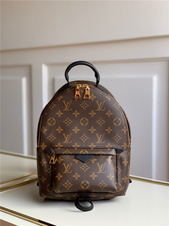 Louis Vuitton 루이비통 팜 스프링스 백팩 M44874 신상