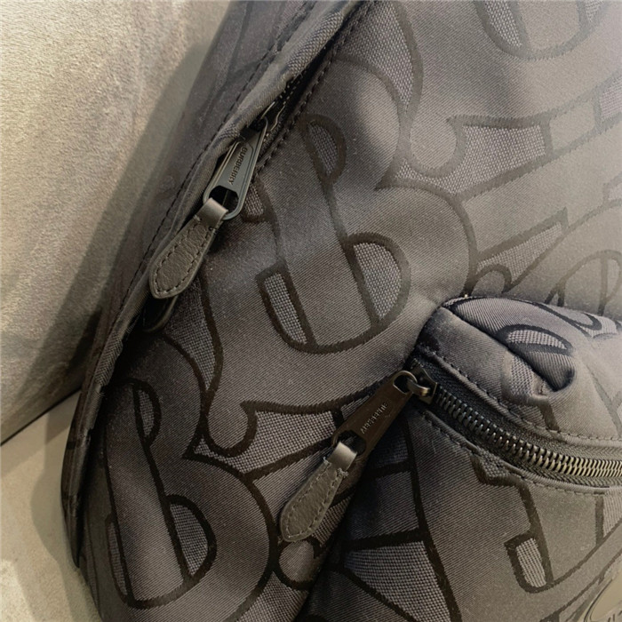 Burberry 버버리 백팩 B65089 신상