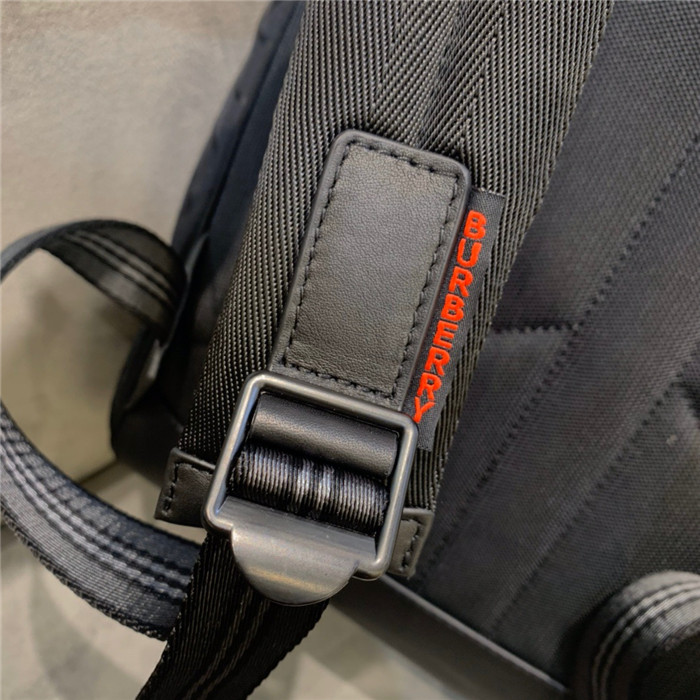 Burberry 버버리 백팩 B65089 신상