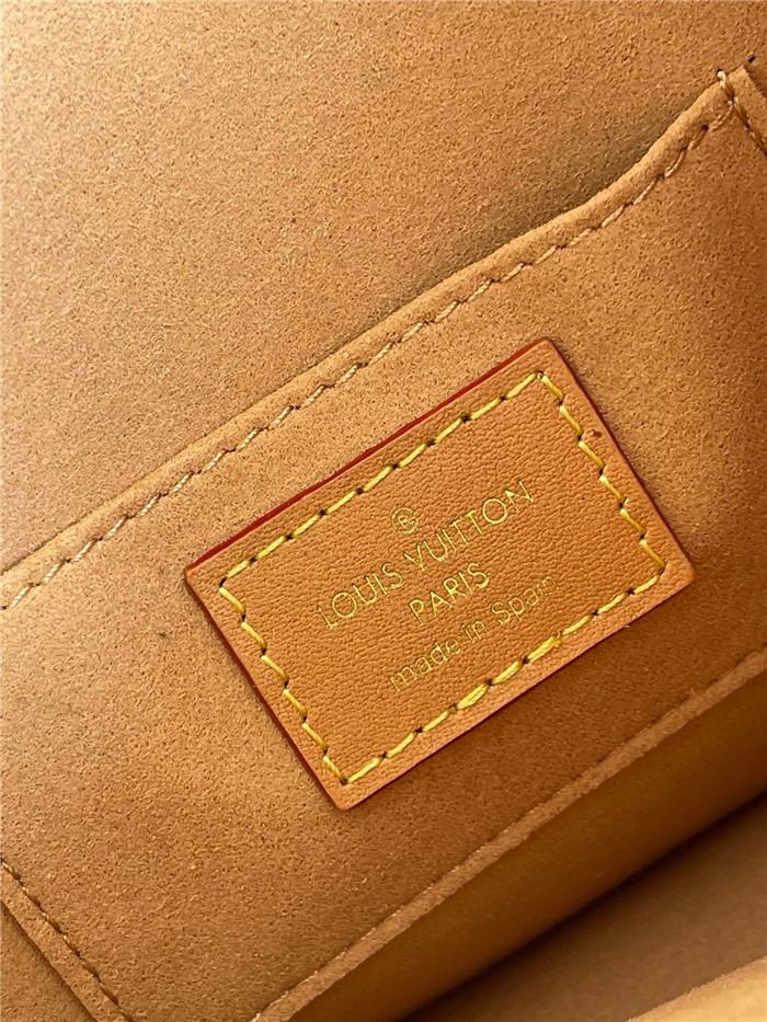Louis Vuitton 루이비통 1854 미니 도핀