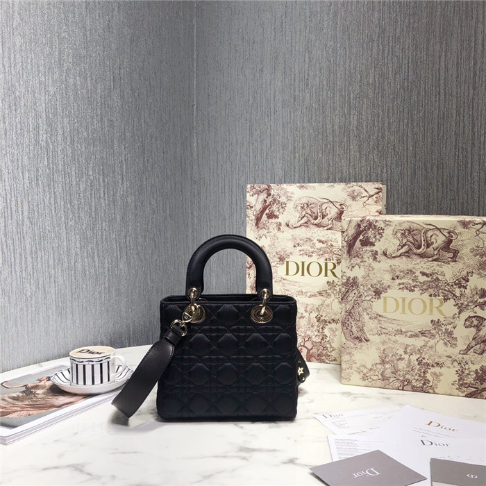 Dior 디올 마이ABC 레이디 20CM(실크원단) M0538