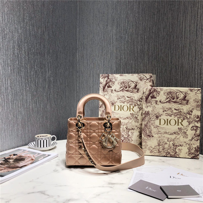 Dior 디올 마이ABC 레이디 20CM(실크원단) M0538
