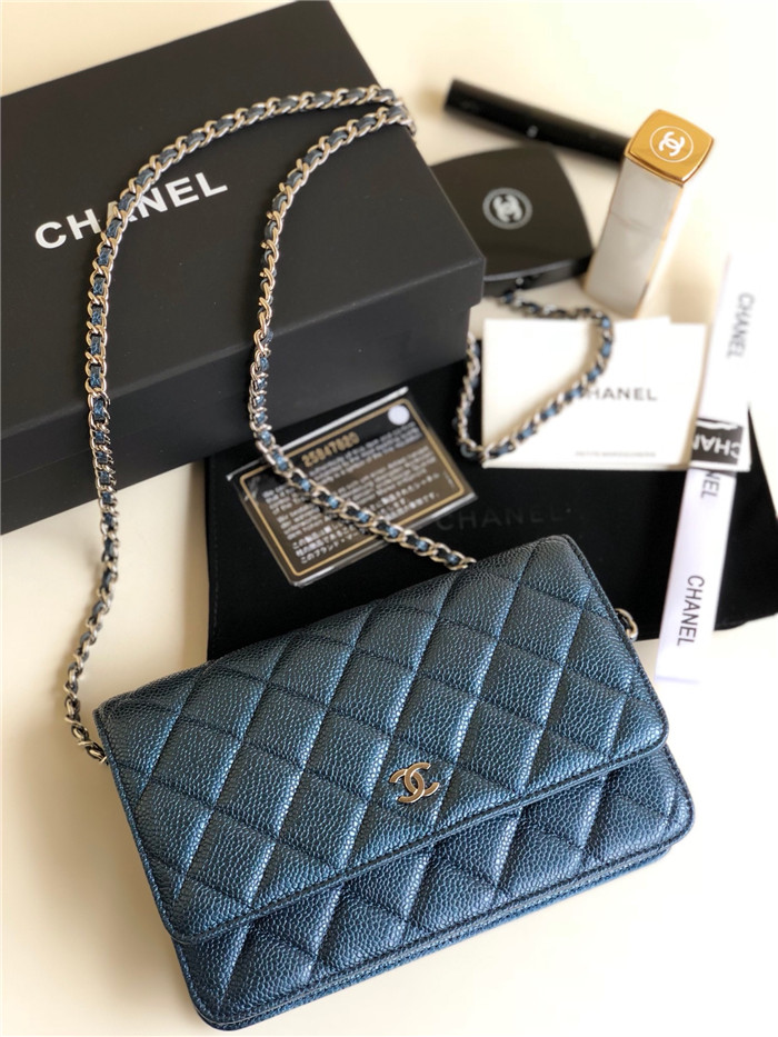  CHANEL 샤넬 WOC 19CM AS12051-3 2021/신상