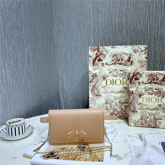 Dior 디올 30 몽테인 투인원 파우치 S2086 (3컬러)