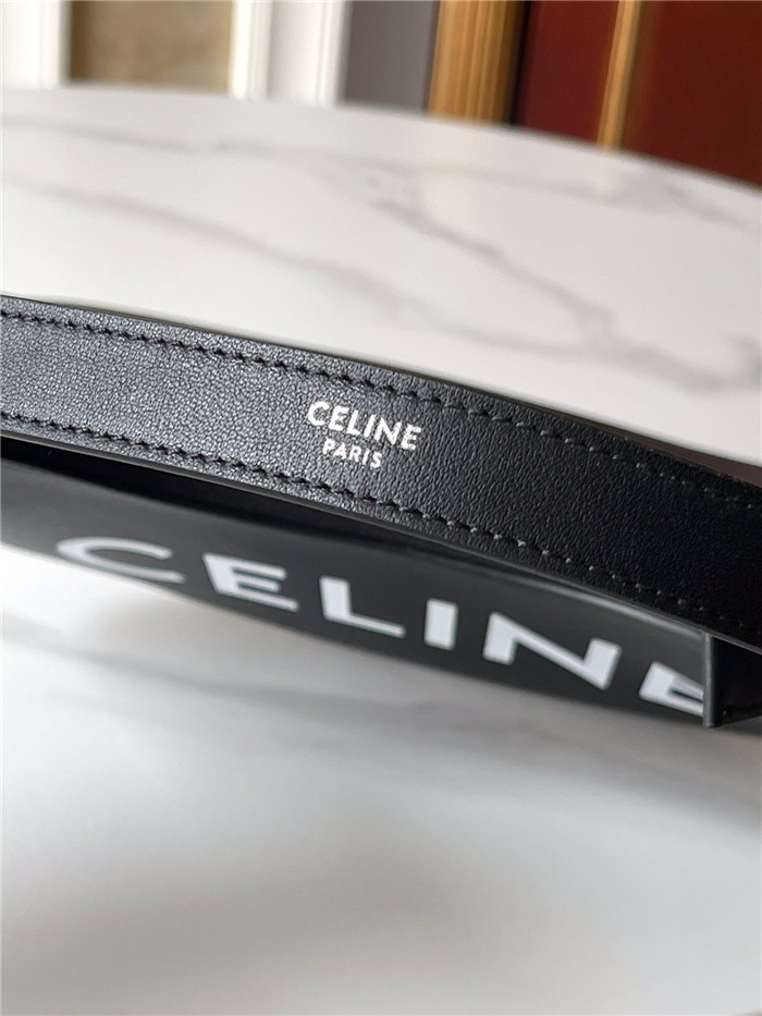 Celine 셀린느 스무스레더 카프스킨 아바 호보백 C193953 2021/신상 (2컬러)