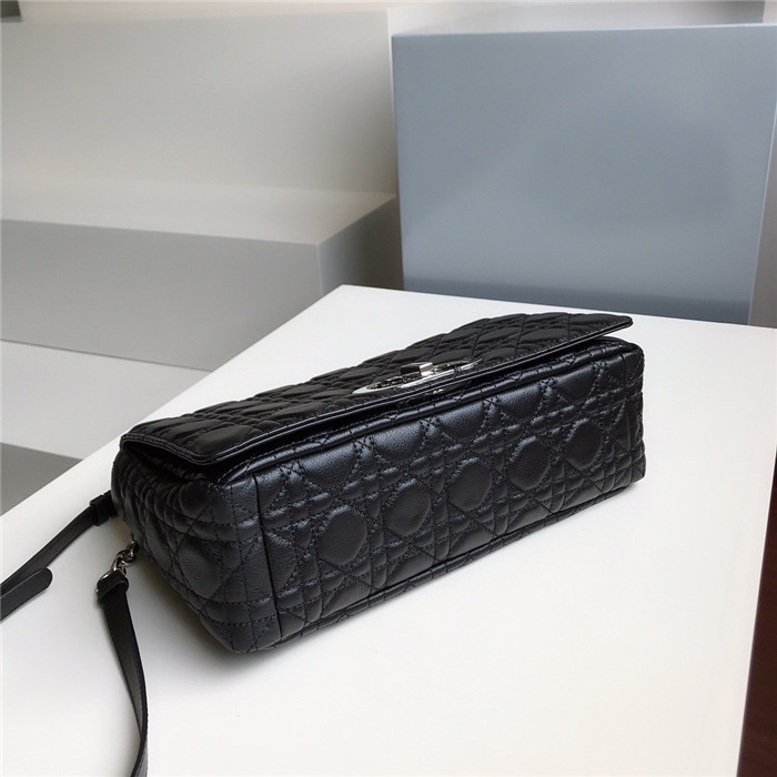 Dior 디올 카로백 라지 D9243-6