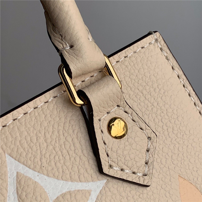 Louis Vuitton 루이비통 쁘띠 삭 플라 M80449