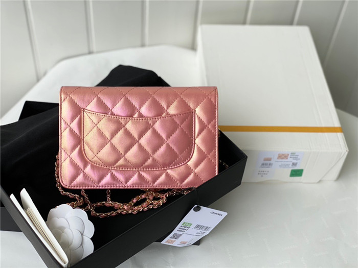 CHANEL 샤넬 WOC 19CM AS33698