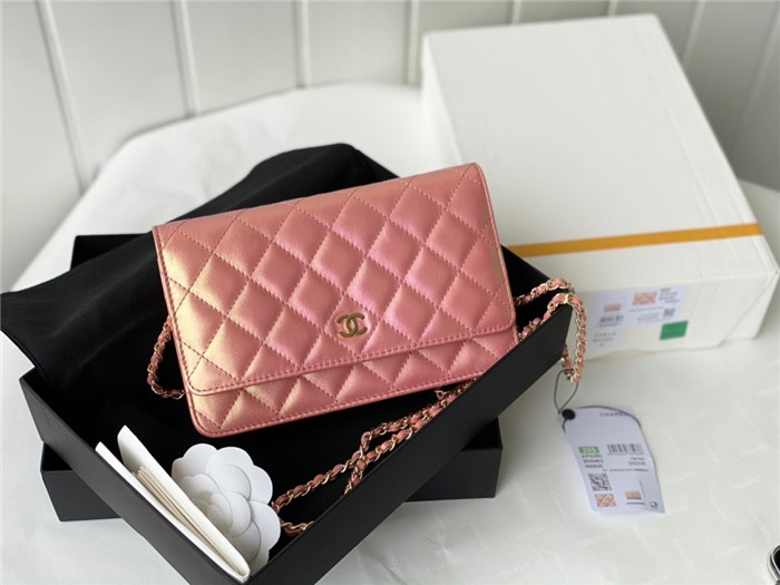 CHANEL 샤넬 WOC 19CM AS33698