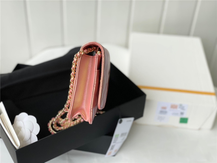 CHANEL 샤넬 WOC 19CM AS33698