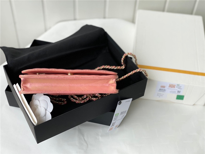 CHANEL 샤넬 WOC 19CM AS33698