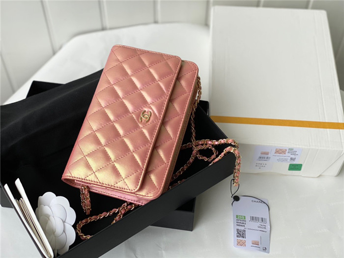 CHANEL 샤넬 WOC 19CM AS33698