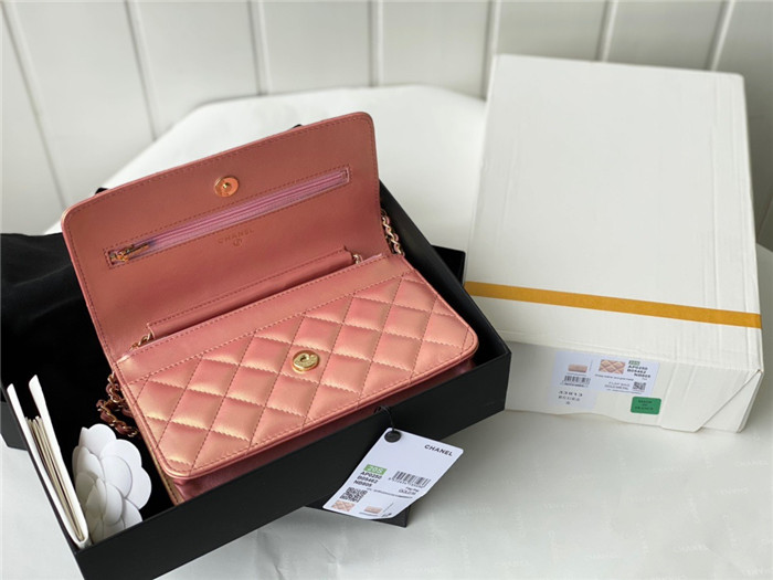 CHANEL 샤넬 WOC 19CM AS33698