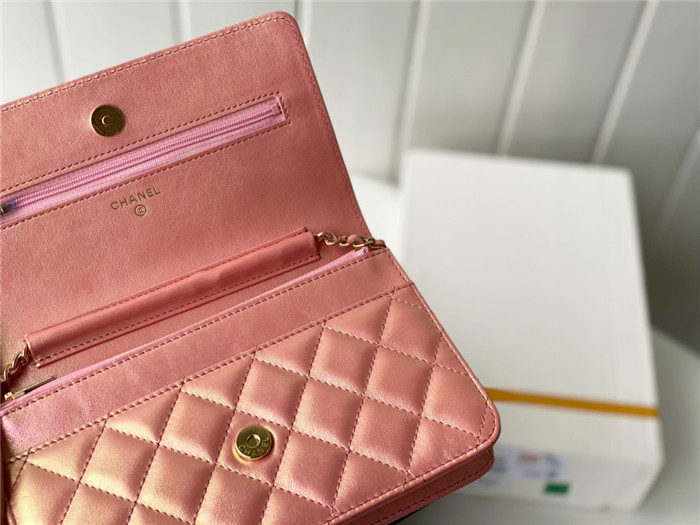 CHANEL 샤넬 WOC 19CM AS33698