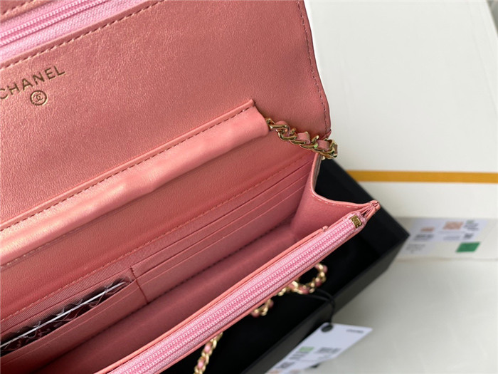 CHANEL 샤넬 WOC 19CM AS33698