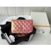 CHANEL 샤넬 WOC 19CM AS33698
