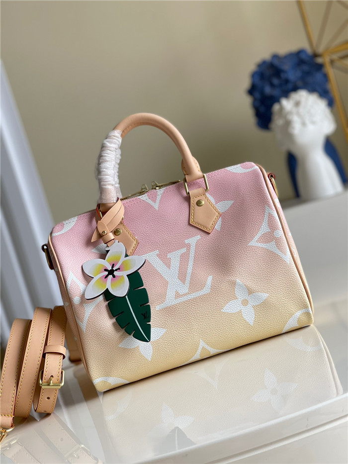 Louis Vuitton  루이비통 모노그램 자이언트 스피디 반둘리에 25 핸드백 M45724