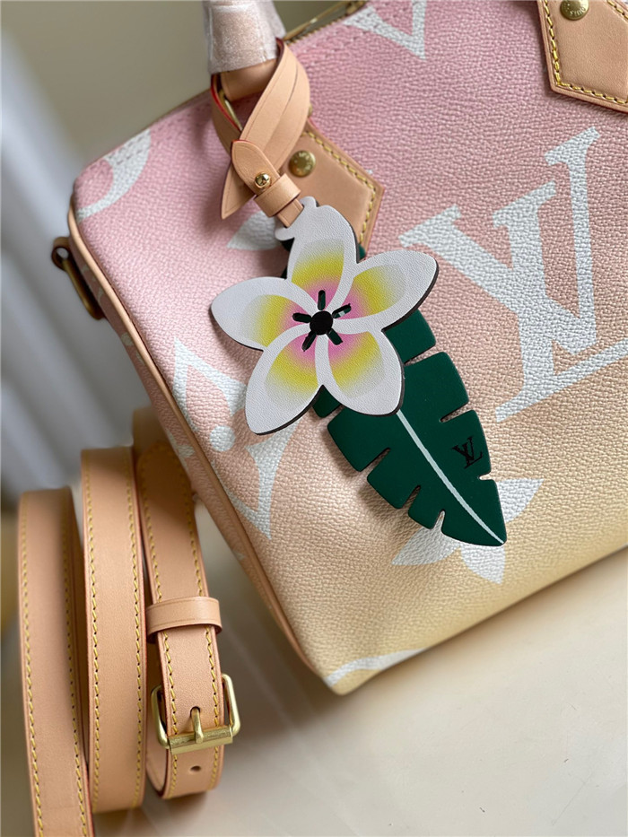 Louis Vuitton  루이비통 모노그램 자이언트 스피디 반둘리에 25 핸드백 M45724