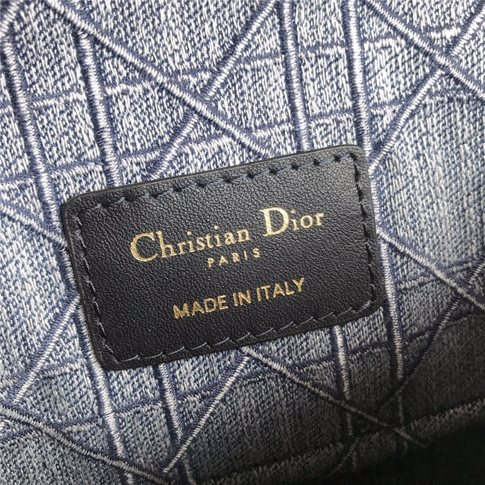 Dior 디올 카로백 스몰 D9241