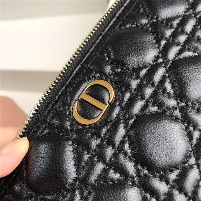 Dior 디올 클러치백 D61501