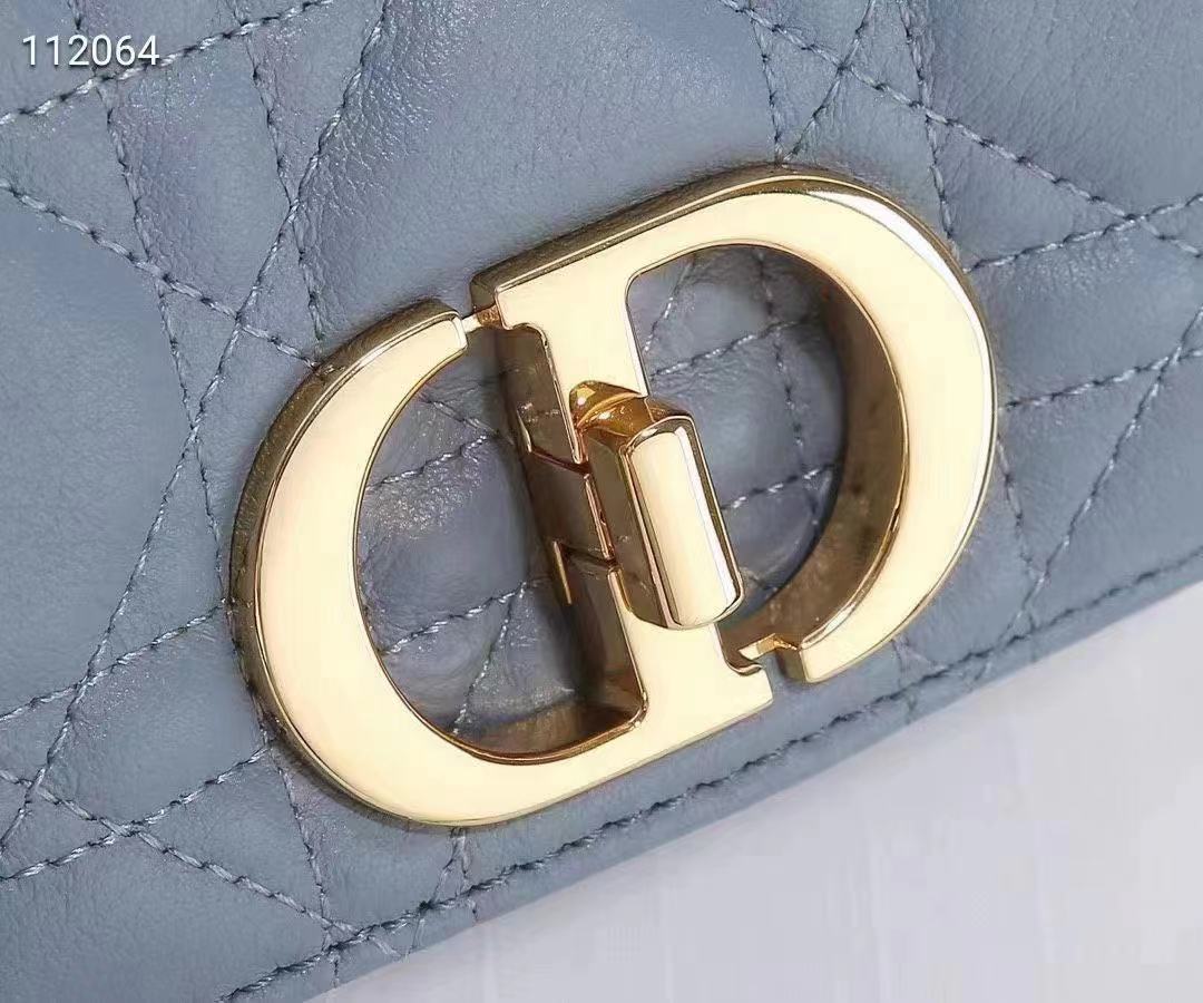 Dior 디올 카로 마이크로백 S2022UWHC_M900