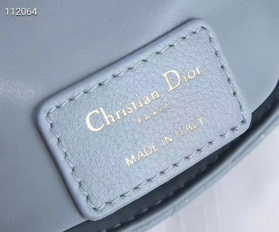 Dior 디올 카로 마이크로백 S2022UWHC_M900