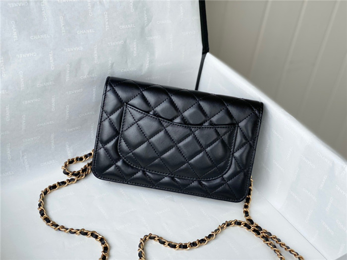 CHANEL 샤넬 WOC 19CM AS81105