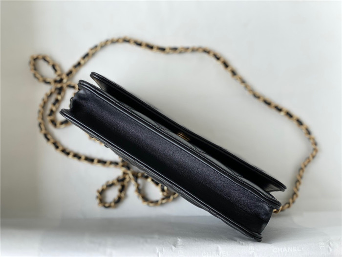 CHANEL 샤넬 WOC 19CM AS81105