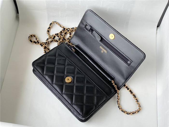 CHANEL 샤넬 WOC 19CM AS81105