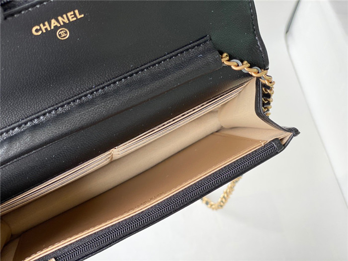 CHANEL 샤넬 WOC 19CM AS81105
