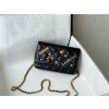 CHANEL 샤넬 WOC 19CM AS81105