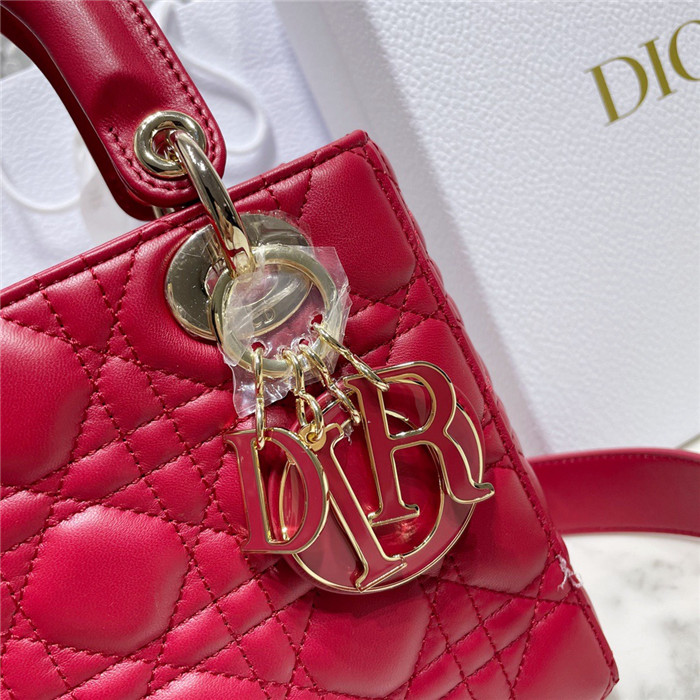 Dior 디올 레이디 백 마이 에이비씨디올 M0538