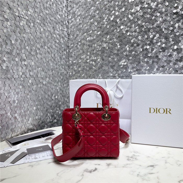 Dior 디올 레이디 백 마이 에이비씨디올 M0538