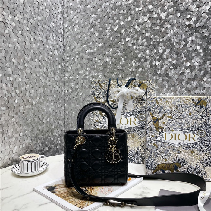 Dior 디올 레이디 백 마이 에이비씨디올 M0538