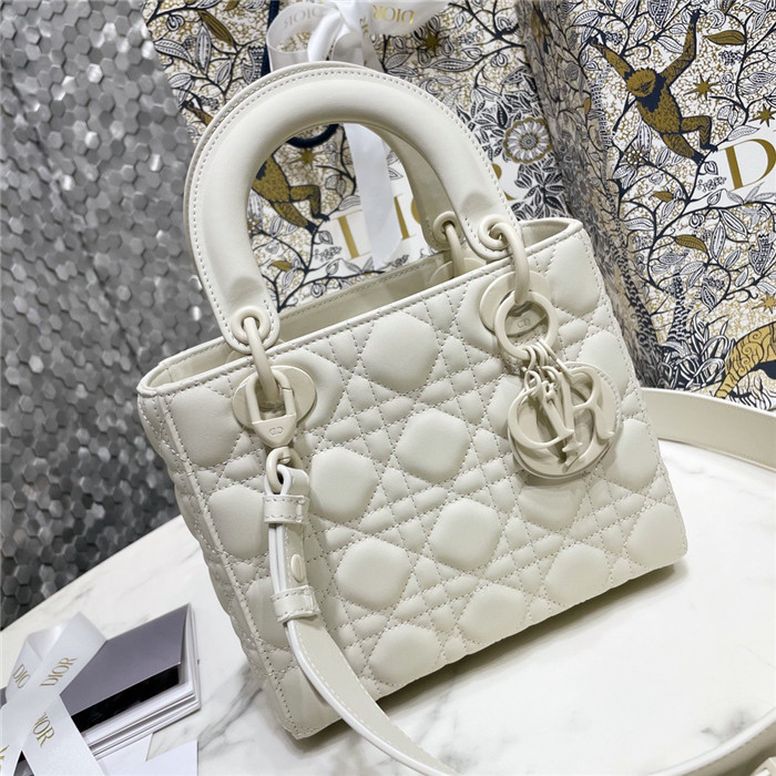  Dior 디올 레이디 백 마이 에이비씨 M0538