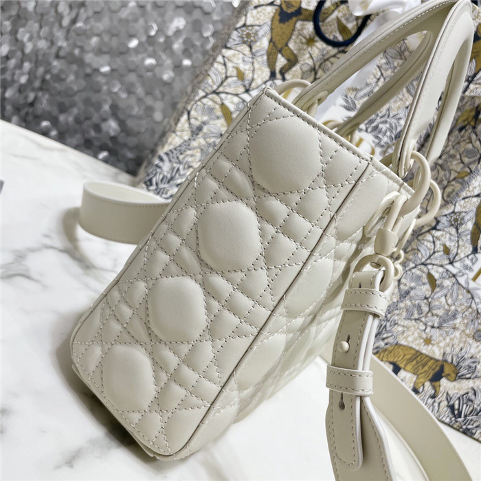  Dior 디올 레이디 백 마이 에이비씨 M0538