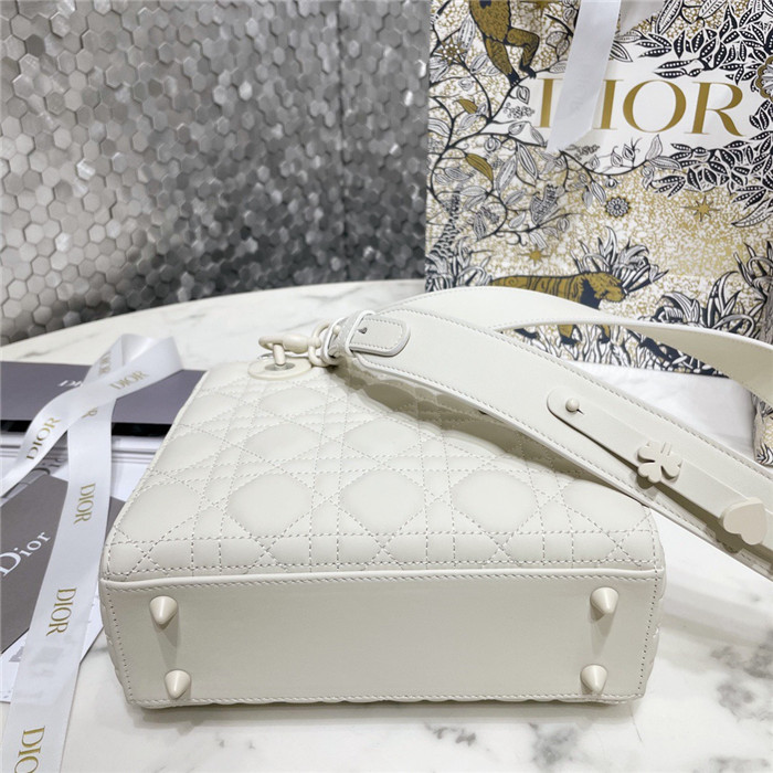  Dior 디올 레이디 백 마이 에이비씨 M0538