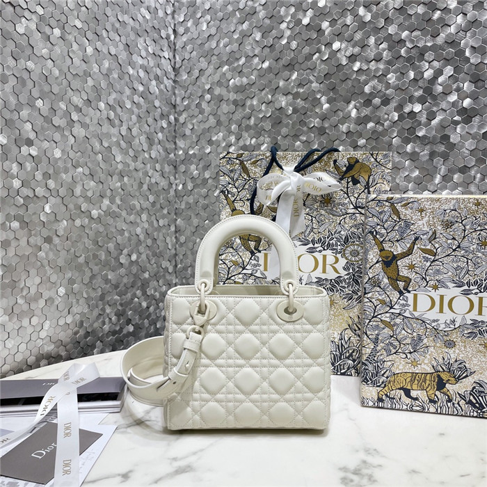  Dior 디올 레이디 백 마이 에이비씨 M0538