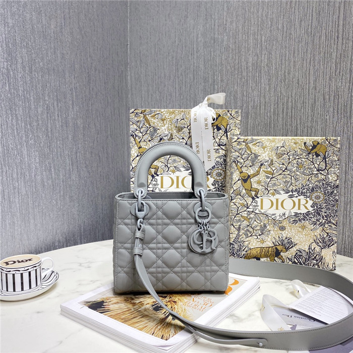  Dior 디올 레이디 백 마이 에이비씨 M0538