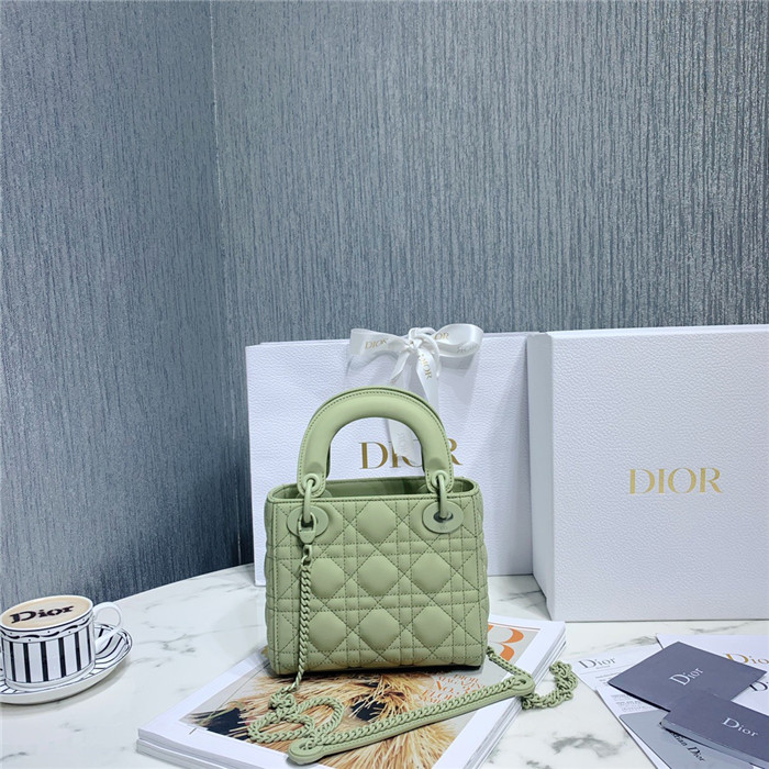 Dior  디올 레이디 17CM D0560