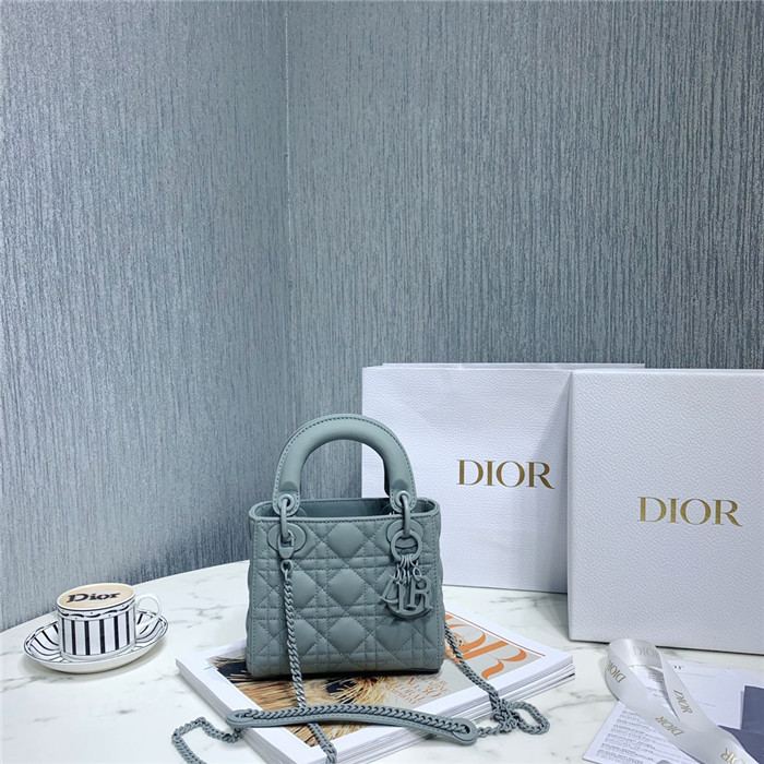 Dior  디올 레이디 17CM D0560